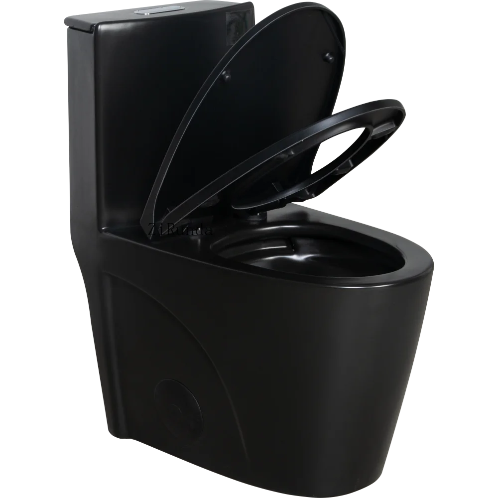 Matte Black Dual-Flush Toilet