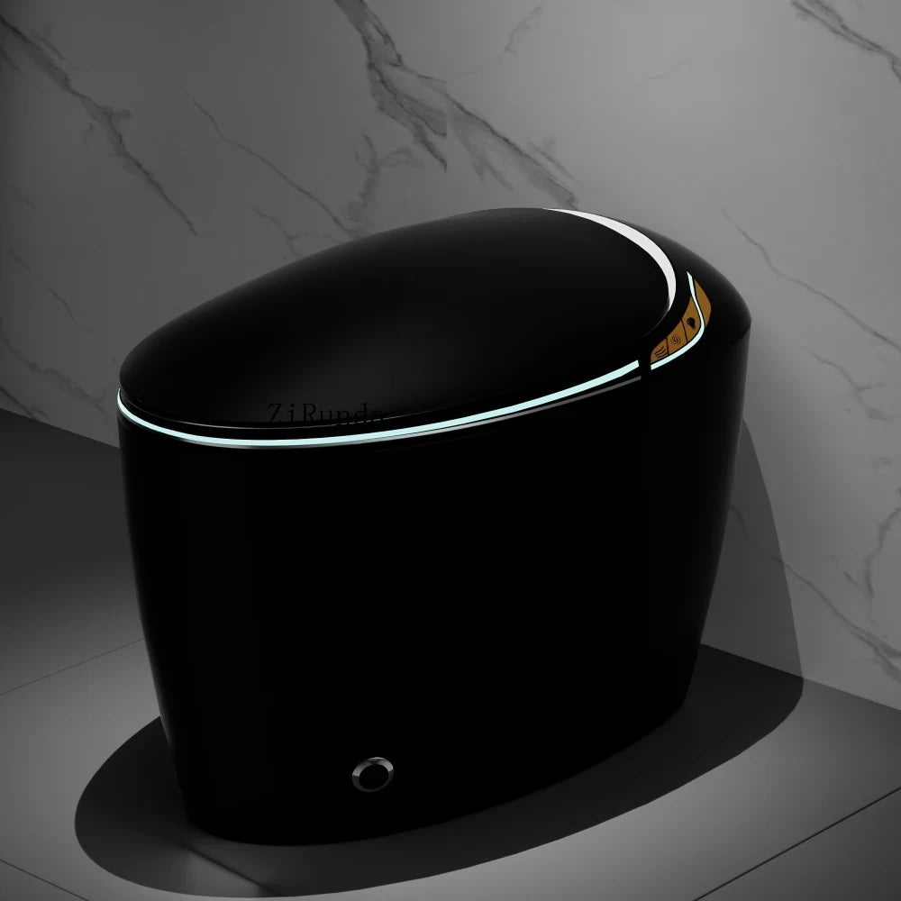 Unique Intelligent Toilet