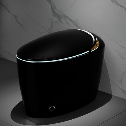 Unique Intelligent Toilet