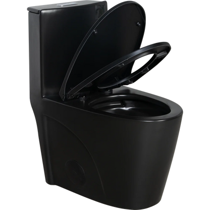 Matte Black Dual-Flush Toilet