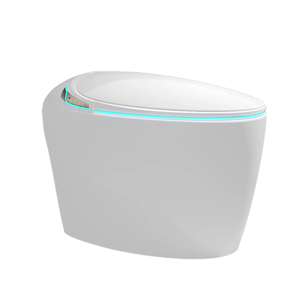 Unique Intelligent Toilet