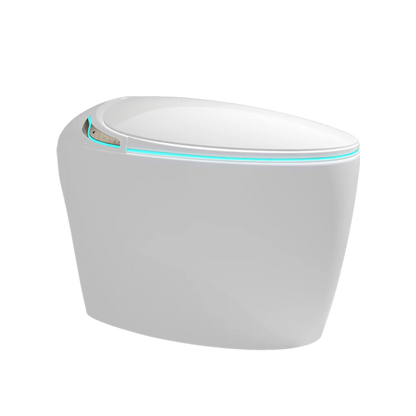 Unique Intelligent Toilet