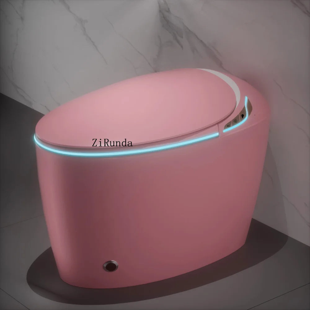 Unique Intelligent Toilet