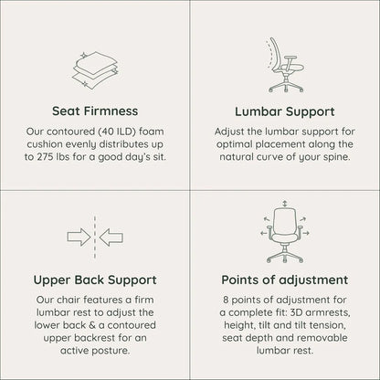 Ergonomic Versatile Desk Chair with Adjustable Lumbar Support