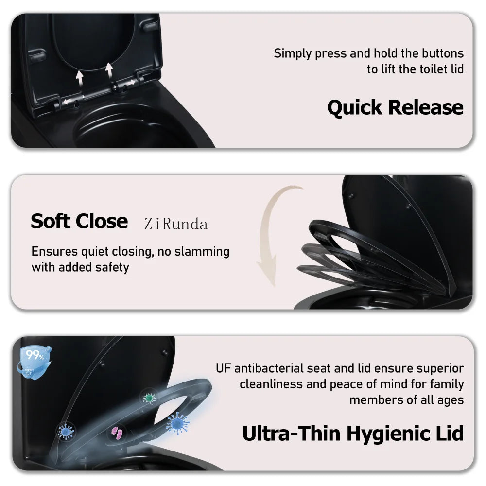 Matte Black Dual-Flush Toilet