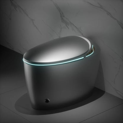 Unique Intelligent Toilet