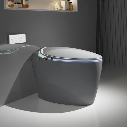 Unique Intelligent Toilet