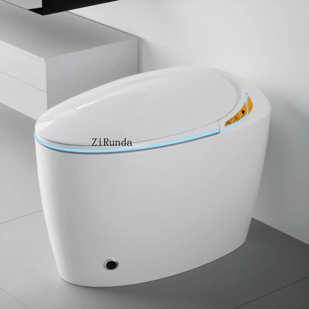 Unique Intelligent Toilet