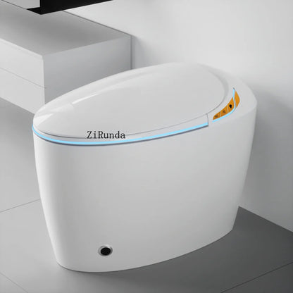Unique Intelligent Toilet