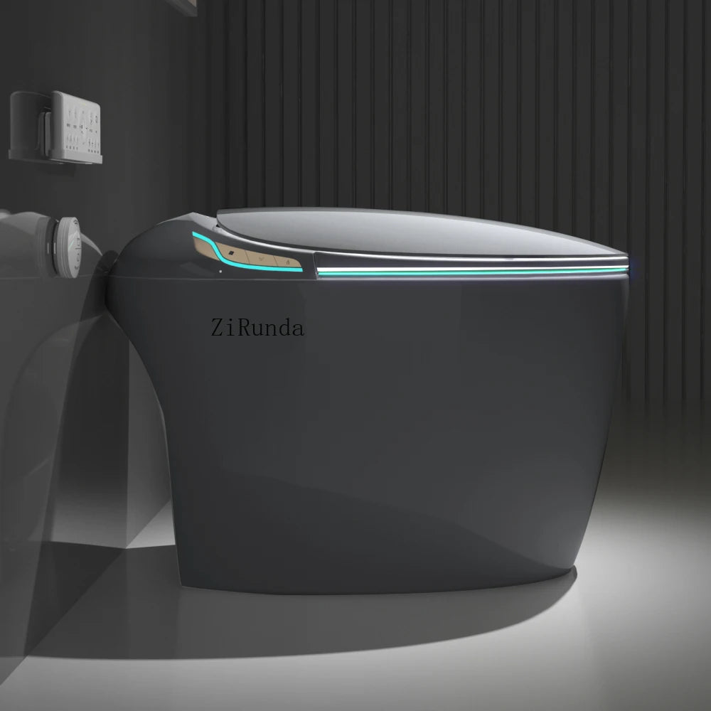 Unique Intelligent Toilet