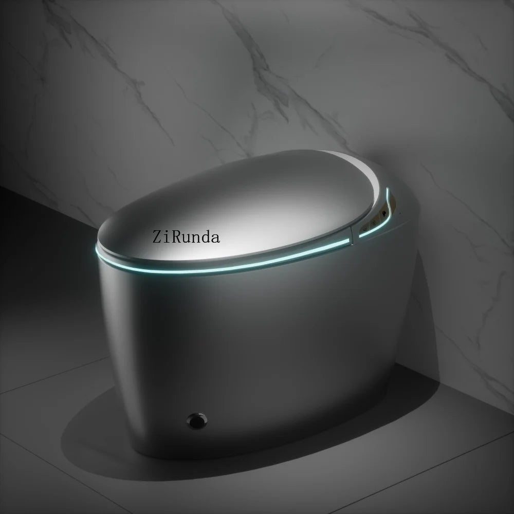 Unique Intelligent Toilet