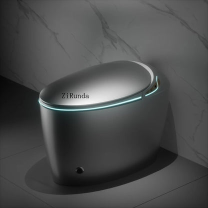 Unique Intelligent Toilet